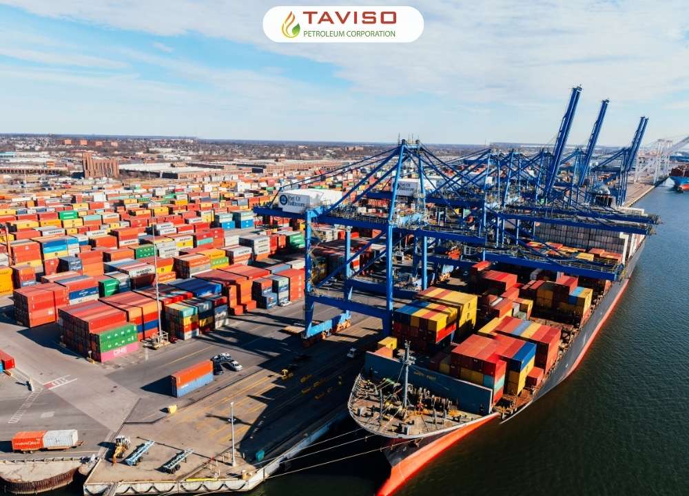 Tân Việt Sơn, TAVISO, Xuất nhập khẩu, supplier, taviso big supplier, nông sản việt, hàng việt nam