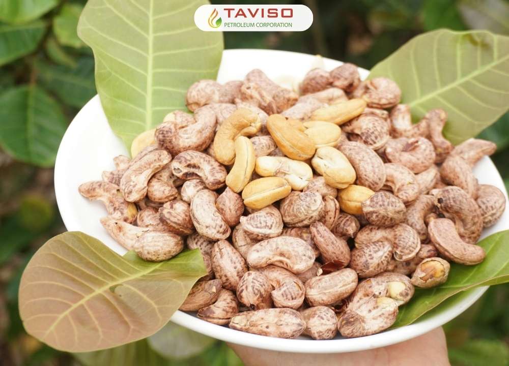 Hạt Điều W240: Sản Phẩm Xuất Khẩu Của Tân Việt Sơn