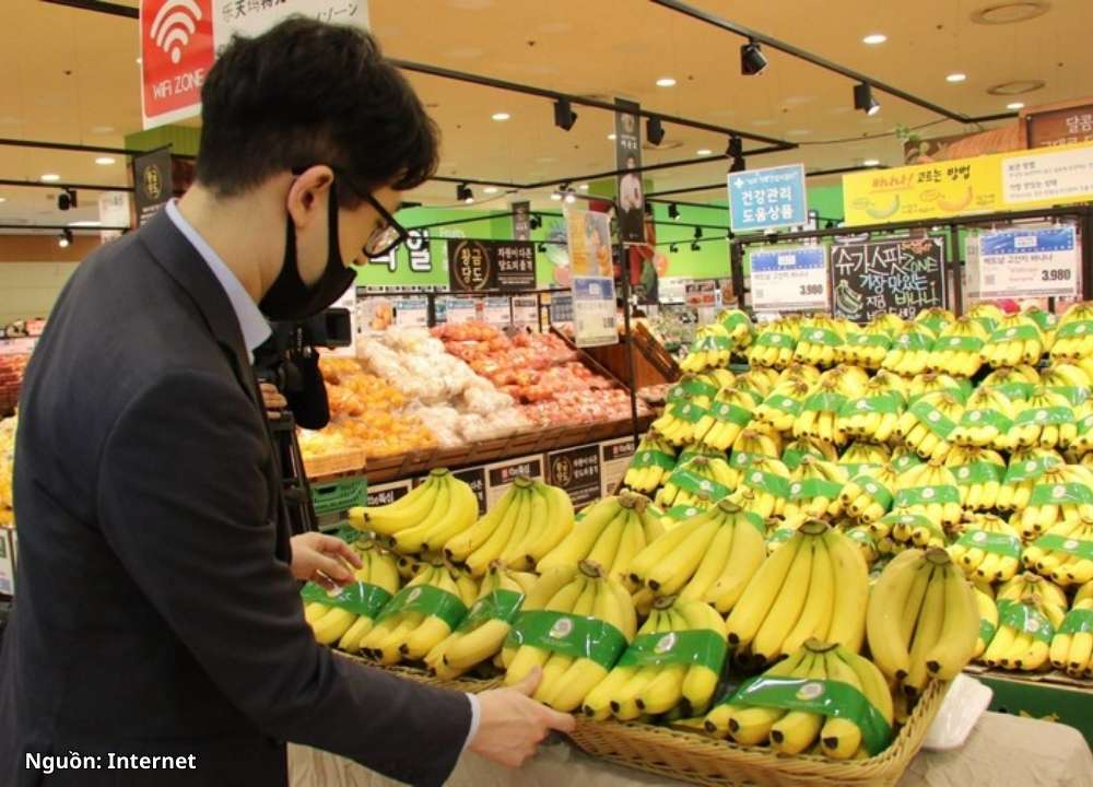 Tiêu chuẩn Xuất khẩu Nông sản Việt Nam sang Hàn Quốc