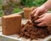 Cocopeat Là Gì