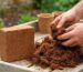 Cocopeat Là Gì